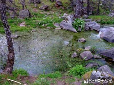 Molinos Río Perales; excursiones senderismo; viaje senderismo;videos de senderismo